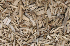 biomass boilers Carn Arthen
